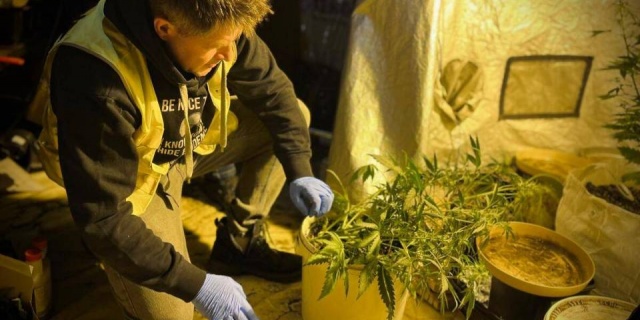 Ukryta plantacja w Łodzi zlikwidowana. Policja odkryła nielegalny proceder