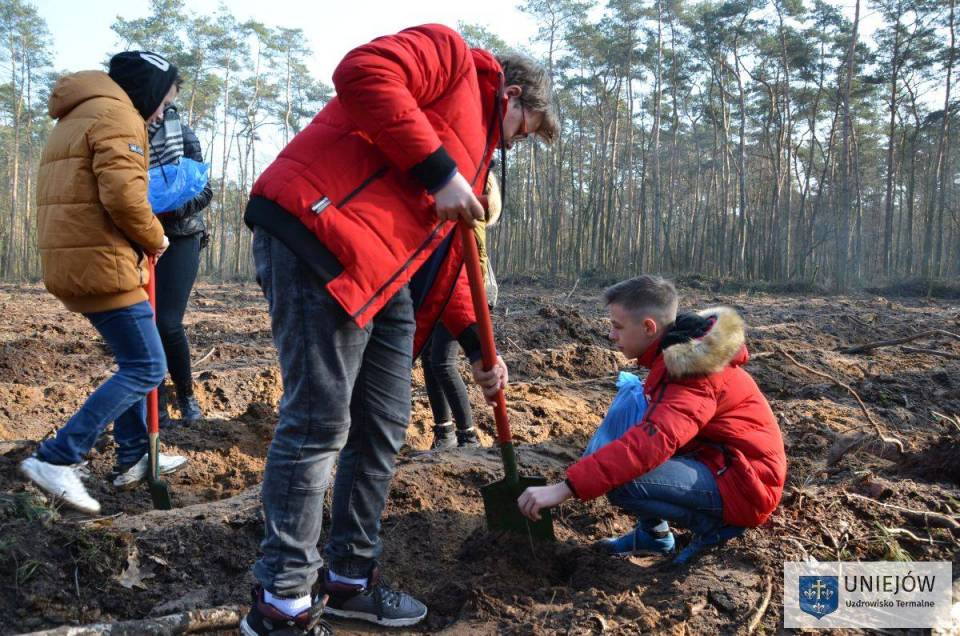 Uczniowie z gminy Uniejów sadzili las