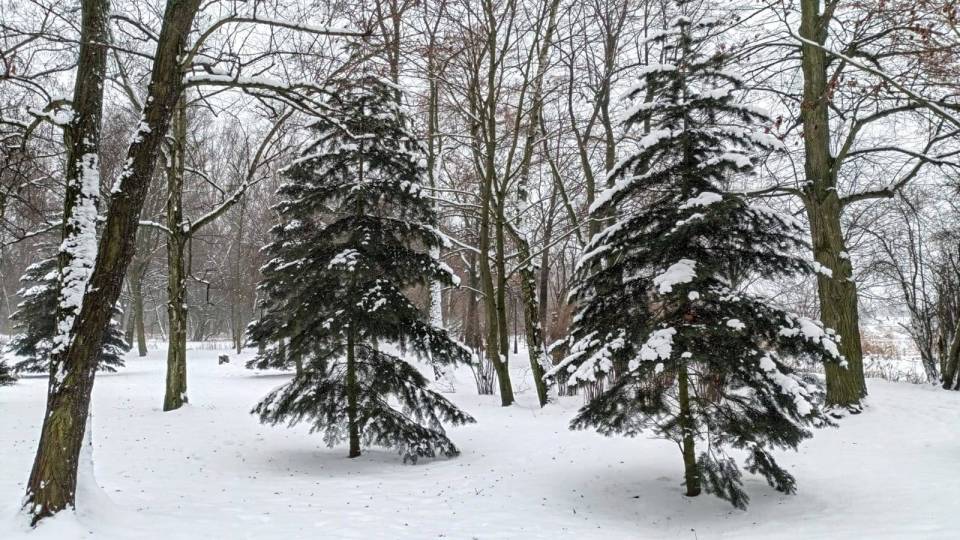 Śnieżyca konwekcyjna przechodzi przez powiat łęczycki