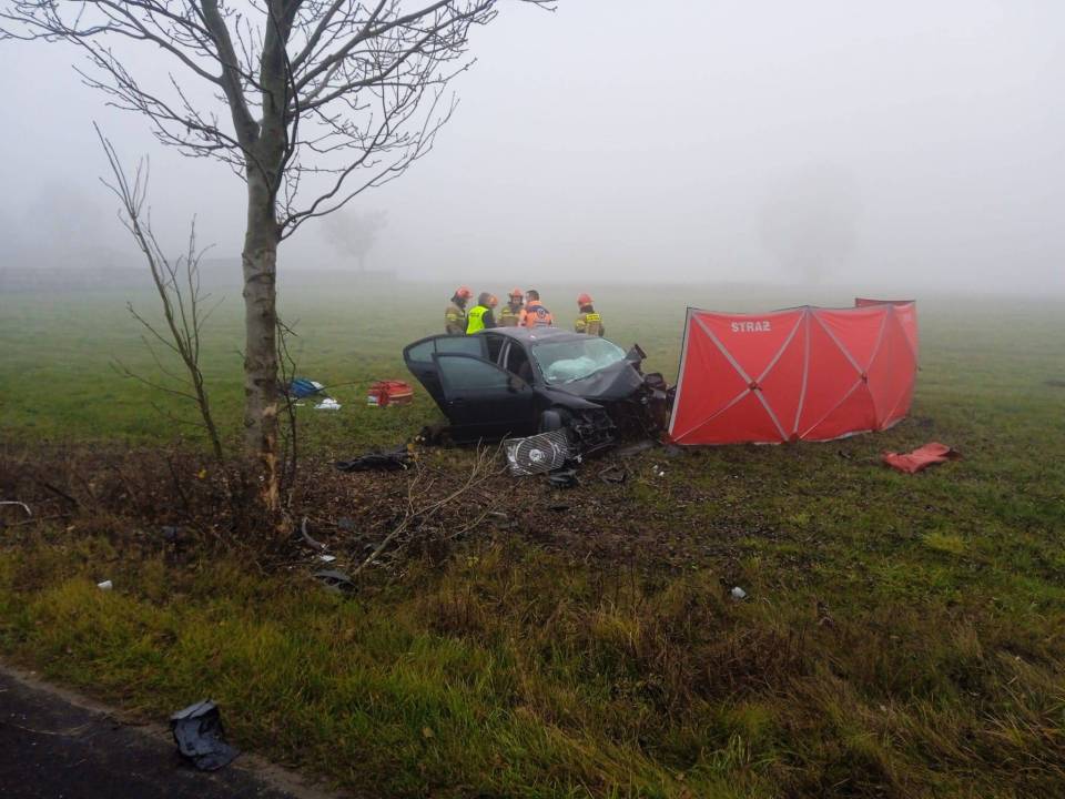 Tragiczny wypadek w gminie Zadzim, auto roztrzaskało się o drzewo. Nie żyje kierowca