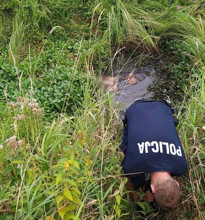 Chwile grozy pod Łęczycą!15-latek po szyję zanurzony w błocie, nie mógł się uwolnić