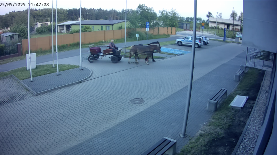 Pijany woźnica „zajechał" prosto na komisariat. Zatrzymali go… policjanci z parkingu [wideo]