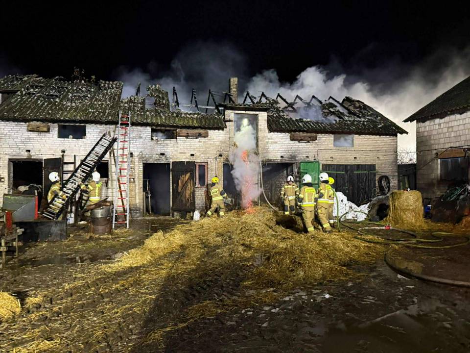 Potężny pożar w gminie Poddębice! Strażacy przez wiele godzin walczyli o życie zwierząt i majątek gospodarza [Foto]