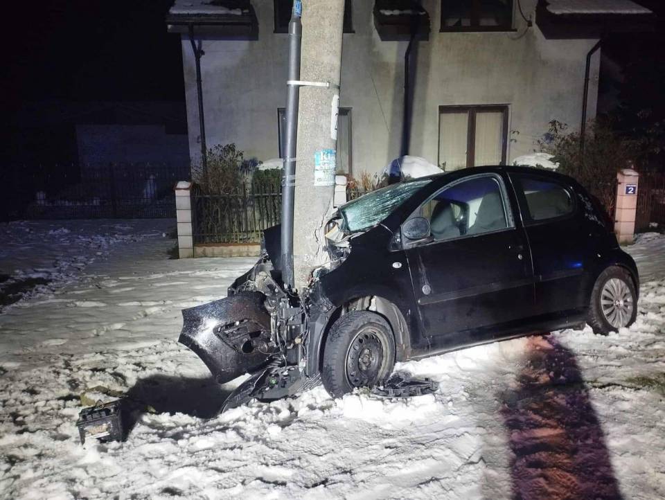 Wypadek w miejscowości Polesie. 19-latka uderzyła w słup energetyczny